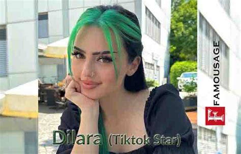 tiktok dilara